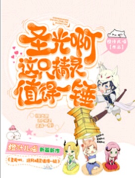 圣光啊,这只精灵值得一锤